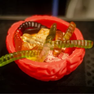 Halloween  Brain  Candy Dish | Brain Bowl